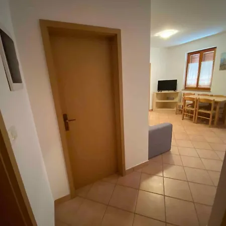 Apartment In Novigrad/istrien 36128